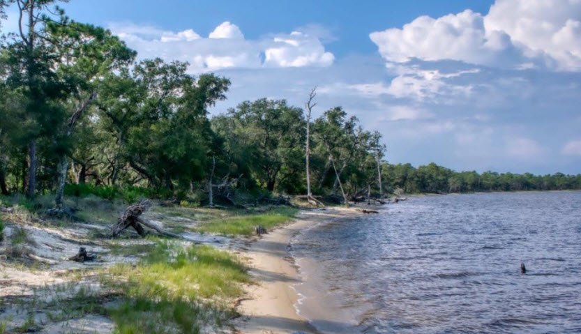 Tarkiln Bayou Preserve State Park, Florida, USA